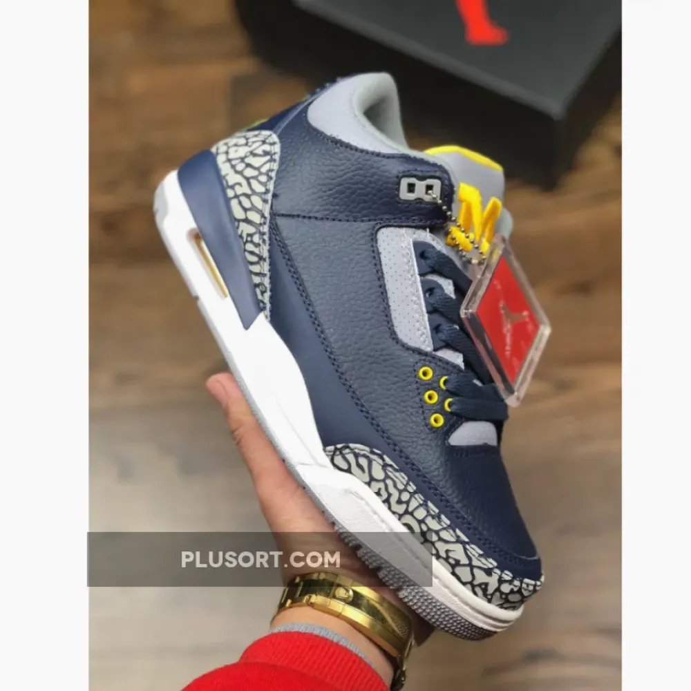 Air Jordan 3 Michigan PE