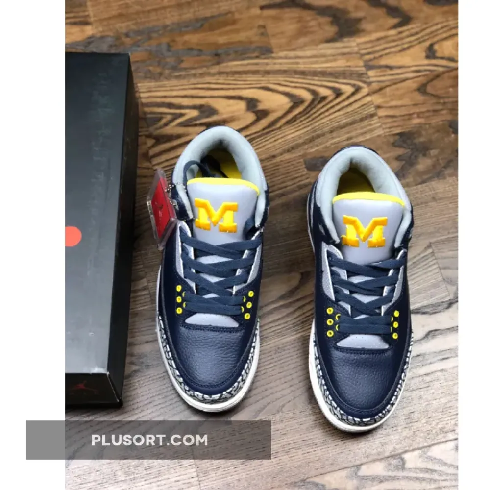 Air Jordan 3 Michigan PE