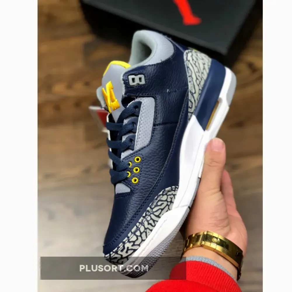 Air Jordan 3 Michigan PE