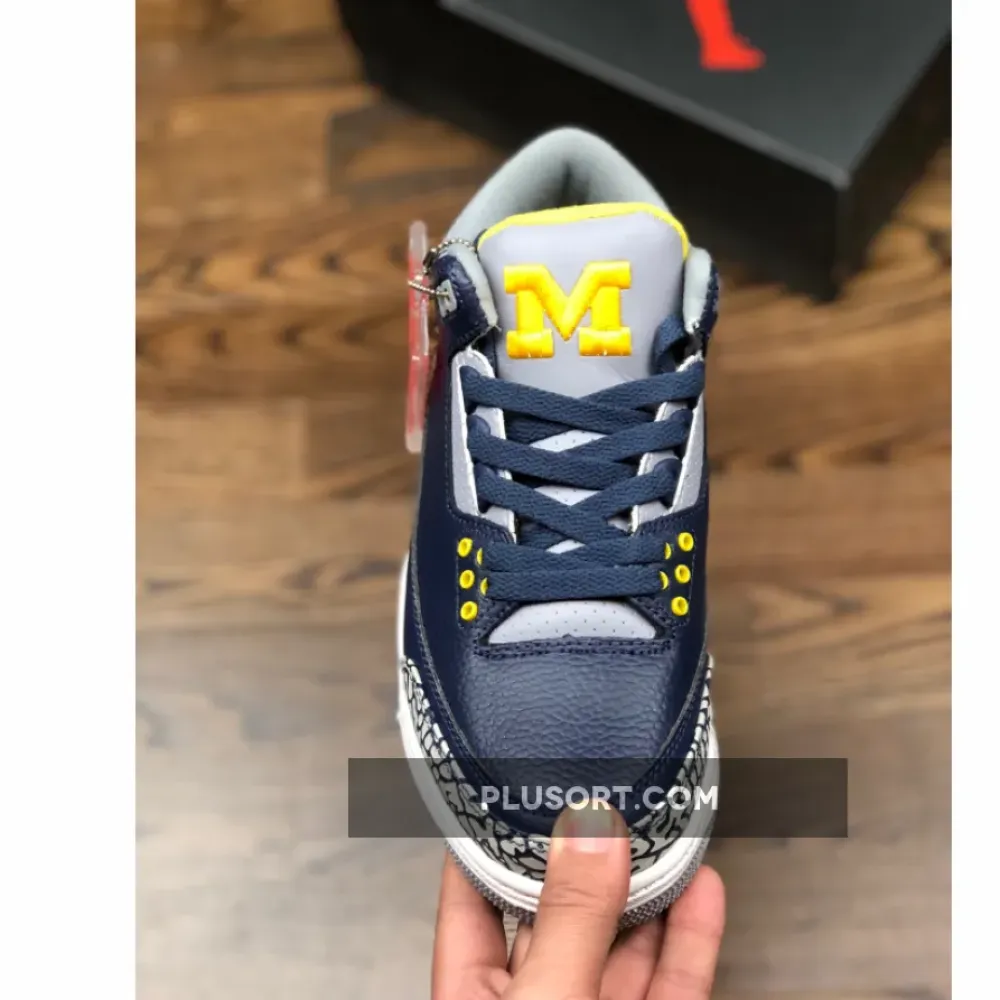 Air Jordan 3 Michigan PE