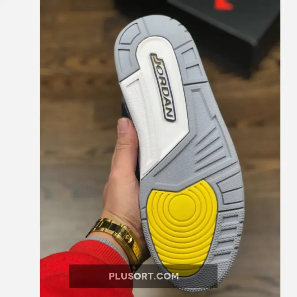 Air Jordan 3 Michigan PE