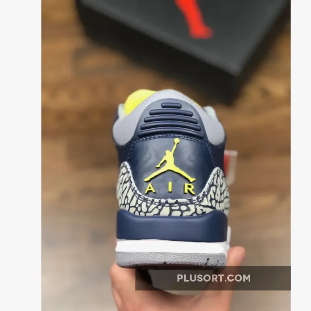 Air Jordan 3 Michigan PE