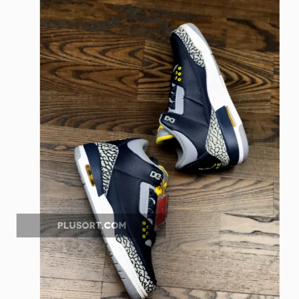 Air Jordan 3 Michigan PE