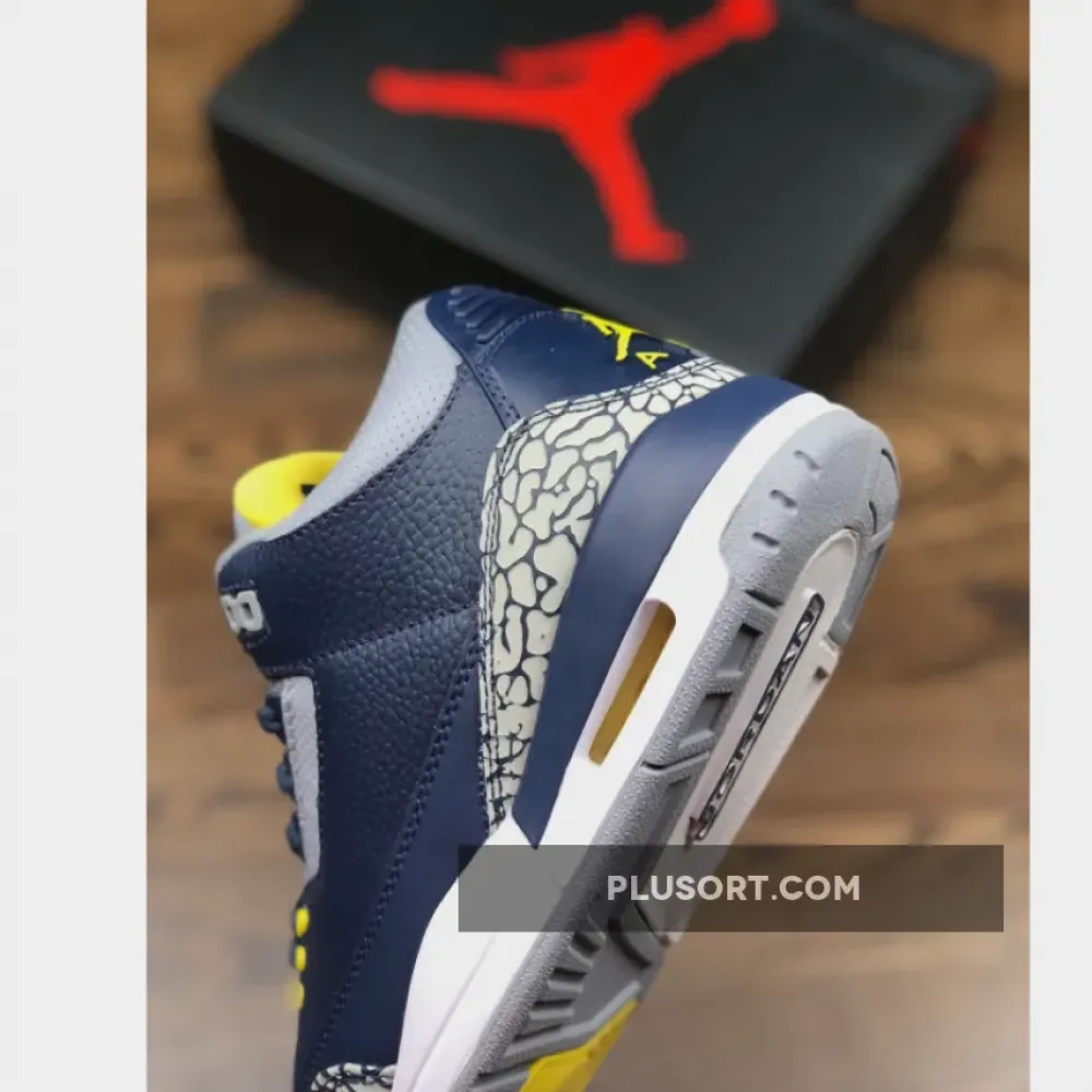 Air Jordan 3 Michigan PE