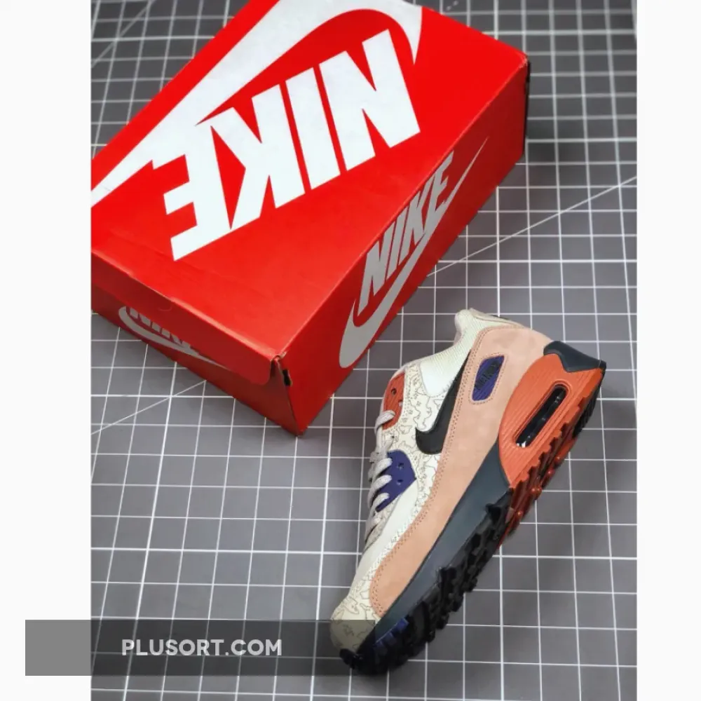 Nike Air Max 90 Desert Sand/Black  CI5646-001