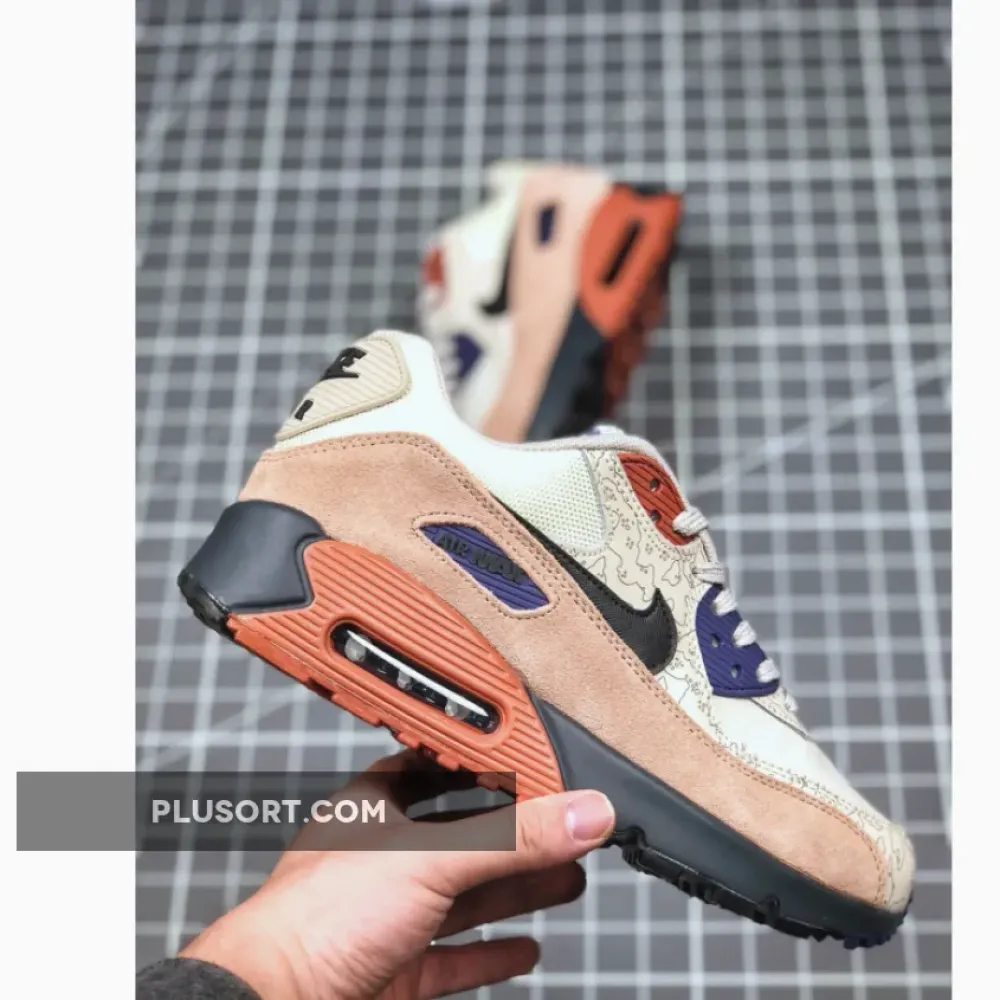 Nike Air Max 90 Desert Sand/Black  CI5646-001