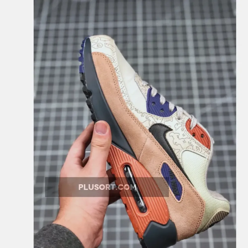 Nike Air Max 90 Desert Sand/Black  CI5646-001