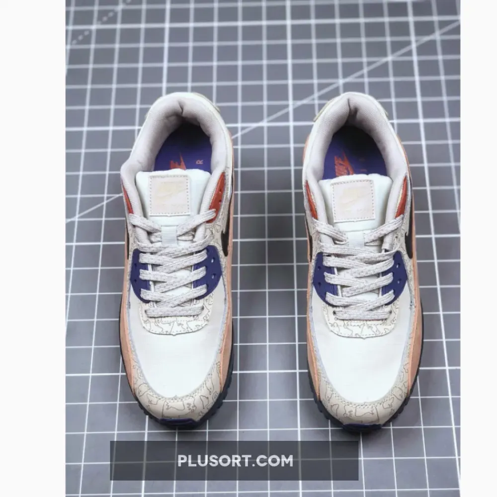 Nike Air Max 90 Desert Sand/Black  CI5646-001