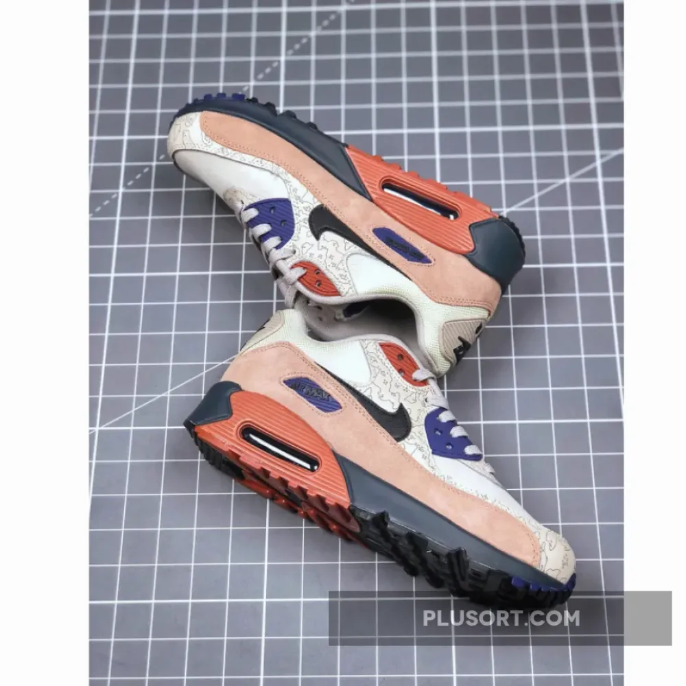 Nike Air Max 90 Desert Sand/Black  CI5646-001