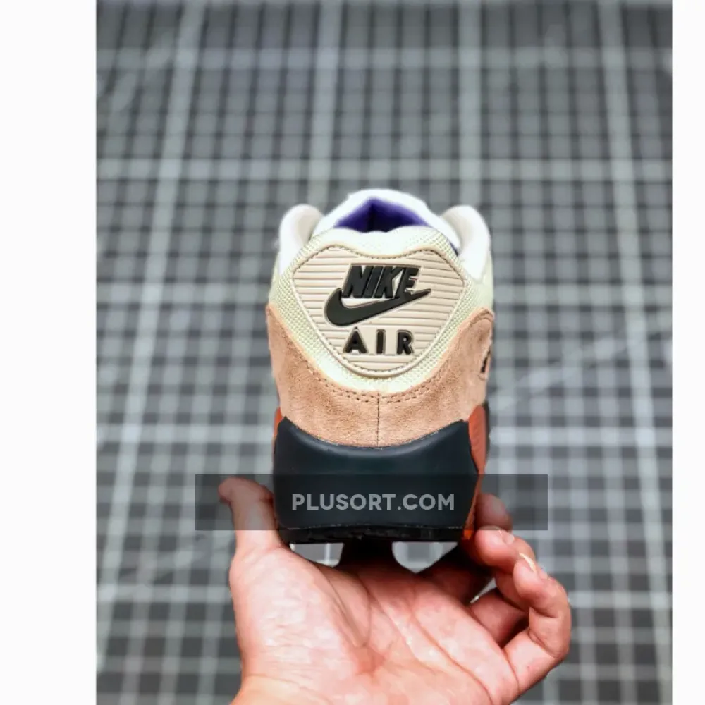 Nike Air Max 90 Desert Sand/Black  CI5646-001